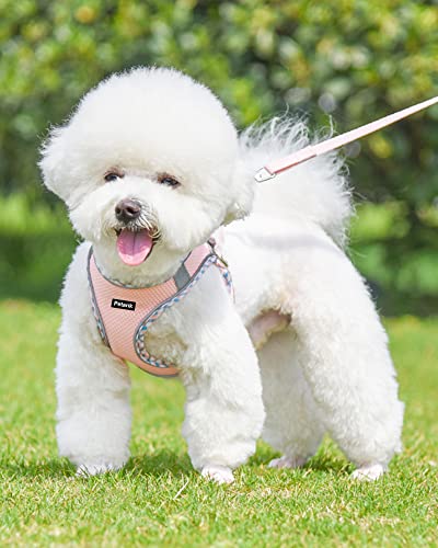 Petank Step in Dog Harness No Pull and Leash for Small Medium Dogs Cats. - color: Pink, size: XXS