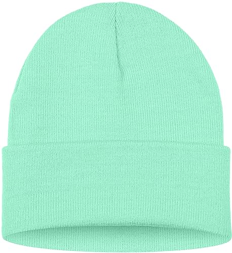 ATNKE LED Lighted Beanie Hat,USB Rechargeable 4 LED Red and Blue Flashing Running Headlamp Cap Gifts for Men and Women - color: #Fruit Green