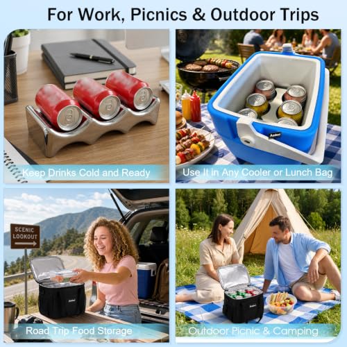 Insulated Lunch Bag with Reusable Stainless Steel Ice Pack, Cooler for Drinks, Meals and Snacks, for BBQ, Picnic, Camping and Road Trips