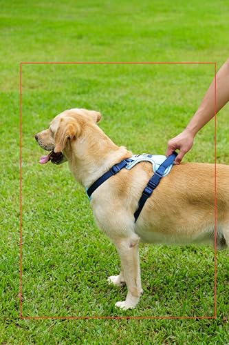 Dog Harness and Leash Set with Collar, No Pull Reflective Pet Vest Harness with Control Handle for Medium Large Dogs Walking and Training - color: Blue, size: S(Neck:15.7-20.5",Chest:18.9-23.6")