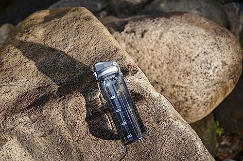 30oz Tritan Water Bottle with Time Marker, 1-Pack, Clear Gray - color: Clear Gray