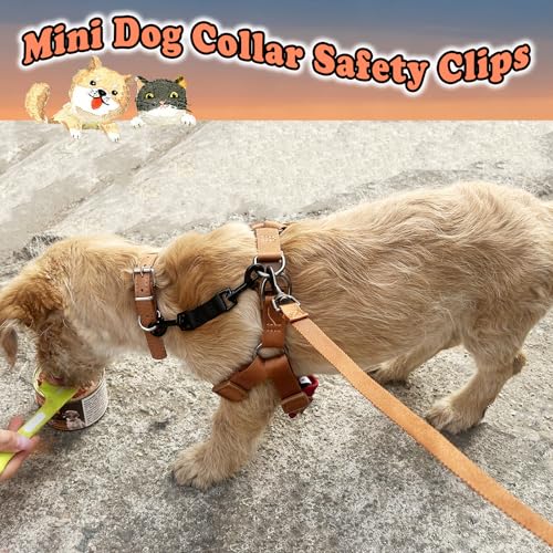 Mini Dog Collar Safety Backup Clip, Black - color: Black, size: Mini(5.3 in fixed length x 0.4 in width)