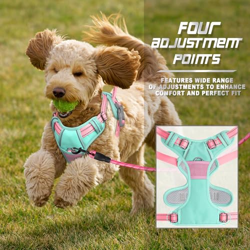 BARKBAY Dog Harness No Pull for Small Sized Dog Front Back Clips,Dog Vest - color: Cool Mint & Baby Pink, size: Small(Chest:19.5-26")