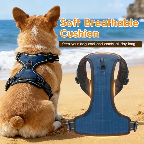 No Pull Dog Harness, No-Choke Soft Padded Reflective Dog Vest Harness with Front Clip & Top Handle, 2 Quick-Release Buckles, Adjustable for Small Medium Large Dogs - color: Royal Sapphire, size: X-Small