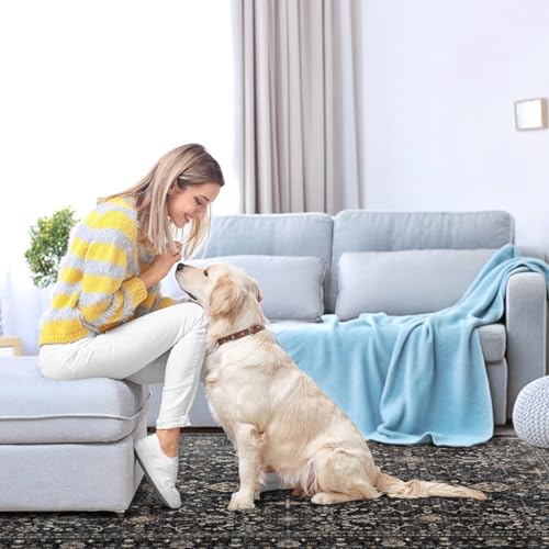 Ruaruarug Washable Area Rug 4×6 for Living Room, Ultra Soft, Black Grey - color: Dark Gray, size: 4' x 6' (Rectangular)