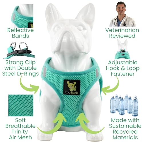 EcoBark Teacup Dog Harness, Soft Step in Puppy Vest, XXXS, Under 5 Lbs - color: Mint Turquoise, size: XXXS- 2 to 3 lbs- Chest up to 10 in (Pack of 1)