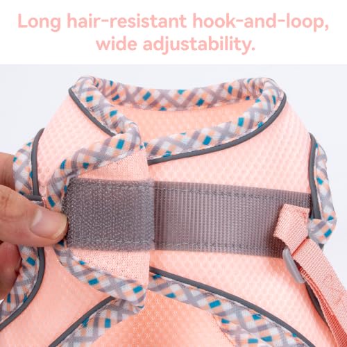Petank Step in Dog Harness No Pull and Leash for Small Medium Dogs Cats. - color: Pink, size: XXS