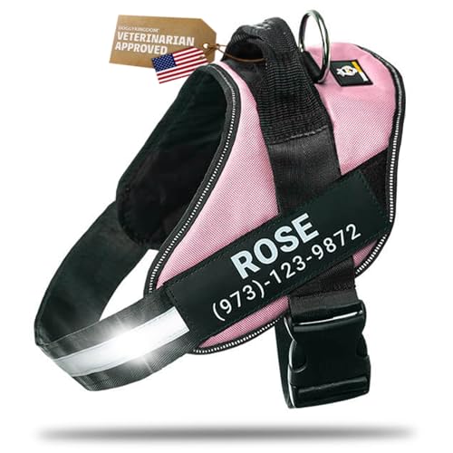 DOGGYKINGDOM Personalized Dog Harness with Custom Name Patches, Adjustable Reflective No Choke Dog Vest with Handle for Large Dogs, Pink, L - color: Pink, size: L (Chest: 28 - 32 in)