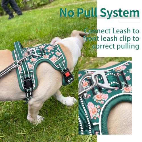 HEELE Dog Harness, No Pull, No Choke Vest, Easy On & Off, Flower Grass, S - color: Flower Grass Green, size: S (Pack of 1)