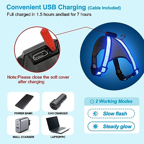 Visinite LED Dog Harness, USB Rechargeable Light Up Dog Vest, 2 Illuminate Modes Glow in The Dark Dog Harness, Adjustable Lighted Pet Harness Light for Night Walking Safety(Blue, XL) - color: Blue, size: Extra Large