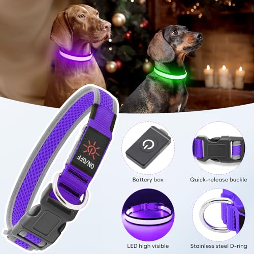 Flashseen LED Light Up Dog Collar, USB Rechargeable, Purple, L - color: Purple, size: Large
