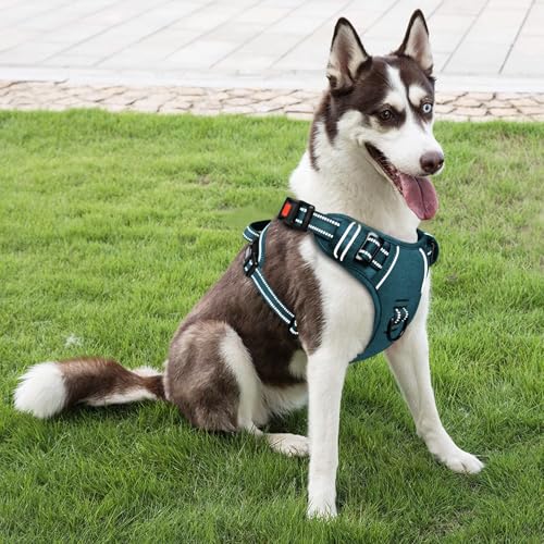 HEELE Dog Harness, Neck Release, No Pull Front Clip Vest, Blackish Green, S - color: Lock Blackish Green, size: S (Pack of 1)