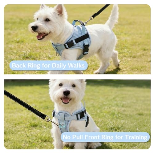 AIITLE No-Pull Dog Harness Reflective Mesh Vest Adjustable, Blue S - color: Blue, size: S