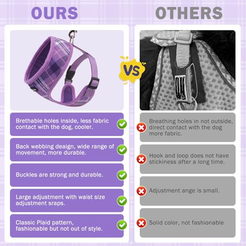 SCENEREAL No Pull Dog Harness and Leash Set Small Medium Sized Dog - color: Purple, size: XS: Chest Girth: 10"-14"