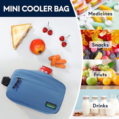 Haimont Small Freezable Lunch Bag, Portable Freezer Insulated cooler Snack Bag with Buckle Handle for Office, Picnic, Navy Blue - color: Navy Blue