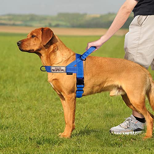 Annchwool No Pull Dog Harness with Soft Padded Handle & Front Clip(Blue,S) - color: Blue, size: S