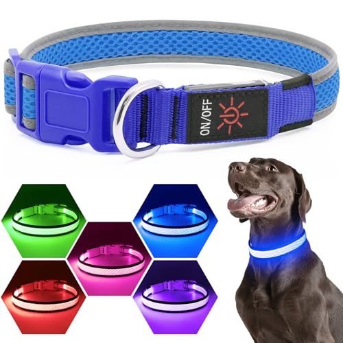 Flashseen LED Dog Collar, Light Up Dog Collar USB Rechargeable, Blue, S - color: Blue, size: Small