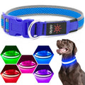 Flashseen LED Dog Collar, Light Up Dog Collar USB Rechargeable, Blue, M - color: Blue, size: Medium