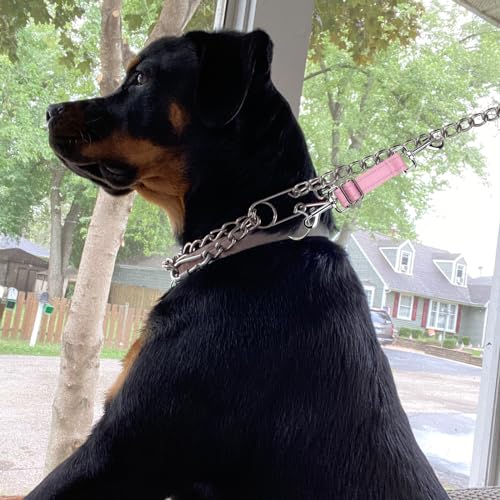 YUEPET Dog Safety Collar Clips 2 Pack Adjustable Prong Collar Backup Clips - color: Pink+Purple