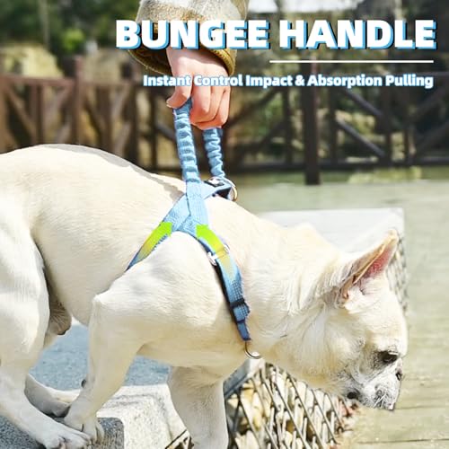 PUPTECK No Pull Dog Harness Small Sized Dog, Adjustable Reflective Pet Vest Harness with Bungee Handle, Escape Proof No Choke Harness for Small Dogs Walking Training, Sky Blue S - color: Sky Blue, size: S (NECK: 15"-17.5", CHEST: 18.5"-24")