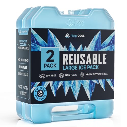4 Pack Reusable Extra Large Ice Packs for Cooler, Long Lasting Freezer Packs for Camping, Beach, and Road Trips, Cooler Ice Packs BPA-Free Non-Toxic, 10.28"x 7.80" - size: Large 2-pack