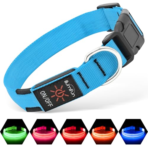 Illumifun LED Dog Collar, USB Rechargeable Light Up Collar, Waterproof Adjustable Safety Light Glow in The Dark (Blue, Large) - color: Blue, size: Large