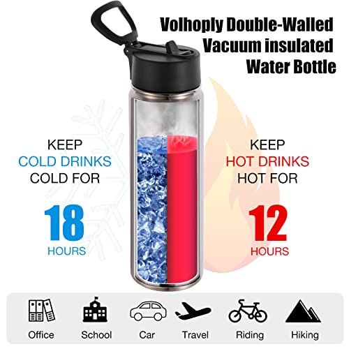 Volhoply 24oz Insulated Water Bottle with Straw Lid, Silver, 1-Pack - color: Silver