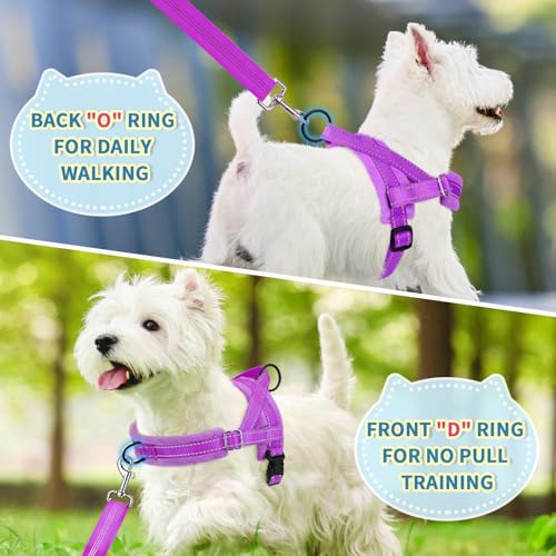Lukovee Small Dog Harness and Leash Set, No Pull Soft Padded, 4ft Leash, M - color: A-Purple, size: M ( Chest 19.7'' ~ 29.1'')