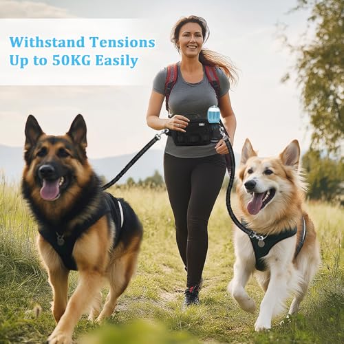 ETACCU Hands Free Dog Leash with Zipper Pouch, Waist Belt for Large Medium 2 Dogs for Running, Walking, Jogging and Hiking, Dual Padded Handles and Durable Bungee - Black (2 Dog) - color: 2 Dog Black