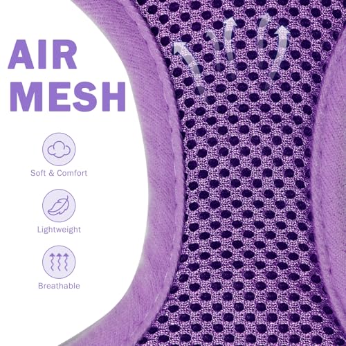 SCENEREAL No Pull Dog Harness and Leash Set Small Medium Sized Dog - color: Purple, size: XS: Chest Girth: 10"-14"