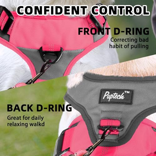 PUPTECK Escape Proof Dog Harness and Leash Set Upgraded No Pull Reflective Dog Vest with Lift Handle, Easy Control Pet Harness for Medium Large Dogs Training Walking Running, Fuchsia, M - color: Fuchsia/Grey, size: Medium