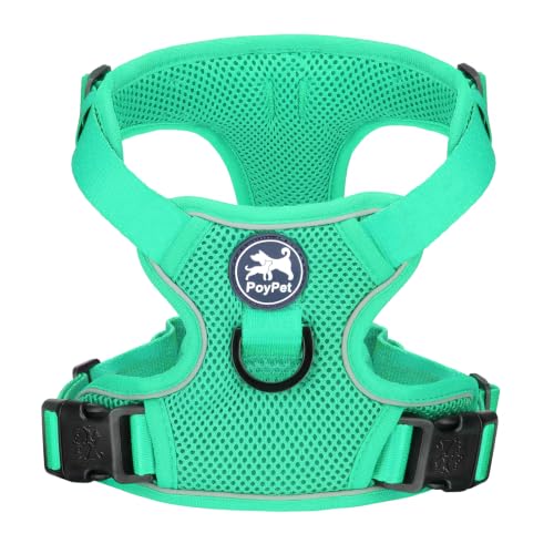 PoyPet Mesh Dog Harness, Reflective Breathable Puppy Vest for Small Dogs - color: Mint Green, size: XS