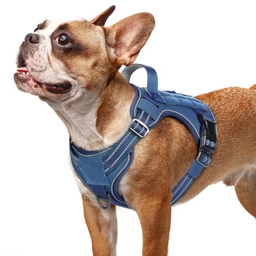 rabbitgoo Tactical Dog Harness for Small Dogs, No Pull Service Pet Vest - color: Blue, size: S(Chest:16.1"-31.5",Neck:15.4"-21.6",Back:7.1")