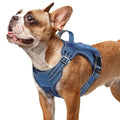 rabbitgoo Tactical Dog Harness for Small Dogs, No Pull Service Pet Vest - color: Blue, size: S(Chest:16.1"-31.5",Neck:15.4"-21.6",Back:7.1")