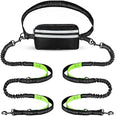 Hands Free Dog Leash 2 Dogs with Padded Handles and Zipper Pouch for Treats