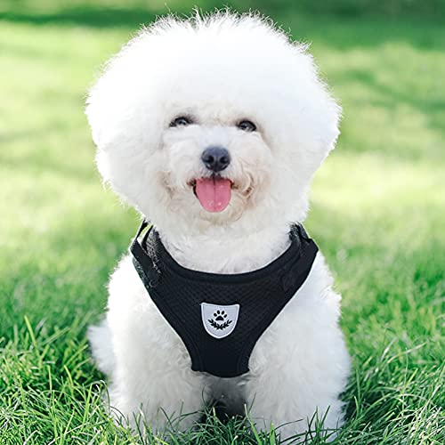 FEimaX Dog Harness and Leash Set for Walking, Soft Mesh Adjustable Easy Control Lightweight Cat Vest Harnesses with Reflective Strips, Escape Proof Small Dogs Cats Vests - color: Black, size: XXS