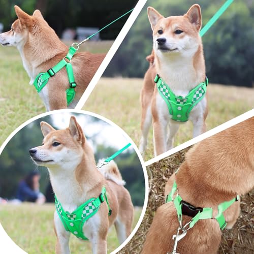Dog Harness with Leash Set, No Pull Adjustable Step in Pet Vest - color: Green (denim), size: L