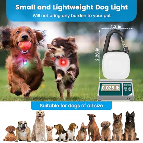 2 Pack Clip On Dog Collar Light, 4 Light Modes & Waterproof & Rechargeable