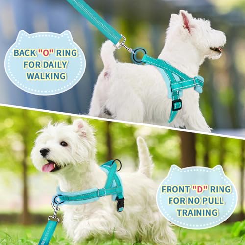 SlowTon No Pull Small Dog Harness and Leash Set with Front Clip - color: Teal, size: XX-Small