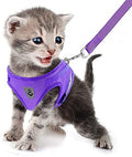 FEimaX Dog Harness and Leash Set for Walking, Soft Mesh Adjustable Easy Control Lightweight Cat Vest Harnesses with Reflective Strips, Escape Proof Small Dogs Cats Vests - color: Purple, size: X-Small