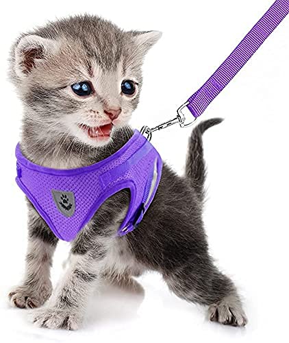 FEimaX Dog Harness and Leash Set for Walking, Soft Mesh Adjustable Easy Control Lightweight Cat Vest Harnesses with Reflective Strips, Escape Proof Small Dogs Cats Vests - color: Purple, size: X-Small