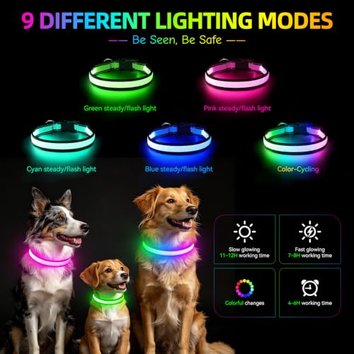 Flashseen Multicolor LED Light Up Dog Collar, RGB 9-Mode, USB Rechargable - color: White, size: Medium