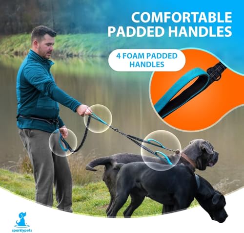 SparklyPets Hands Free Dual Dog Leash, Medium & Large (Gradient Blue) - color: Gradient Blue, size: 2 dogs M/L