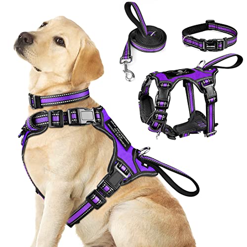WINSEE Pet Harness Collar and Leash Set, All-in-one Reflective Dog Harness No Pull with Adjustable Buckles for Puppies, Small, Medium, Large, and Extra-Large Dogs (Large, Purple) - color: Purple, size: Large