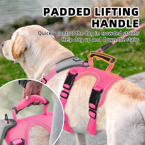 PUPTECK Escape Proof Dog Harness and Leash Set Upgraded No Pull Reflective Dog Vest with Lift Handle, Easy Control Pet Harness for Medium Large Dogs Training Walking Running, Fuchsia, L - color: Fuchsia/Grey, size: Large