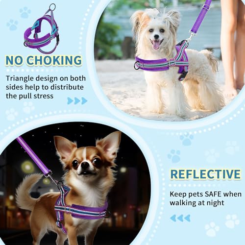 SlowTon No Pull Small Dog Harness and Leash Set with Front Clip - color: Purple, size: X-Small