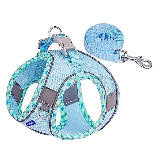 Step in Mesh Dog Harness and Leash Set Breathable Air Mesh Harness - color: Blue, size: XXS(neck:8.5"-9.5",chest:10"-11.5")