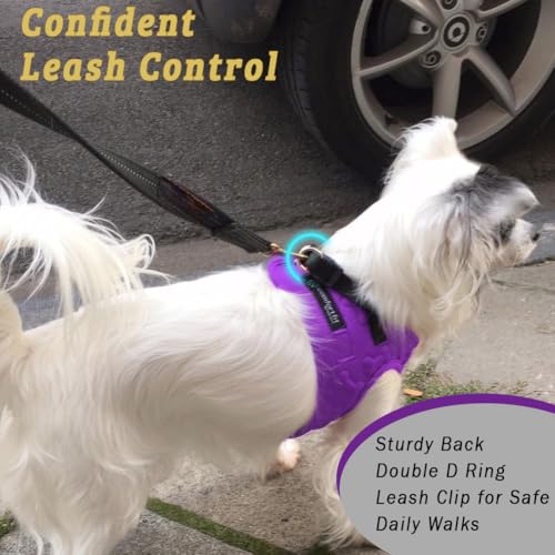 Comfort Fit Dog Harness, Easy Step-in Vest - Purple, Large - color: Purple, size: L (Chest 18" - 22")