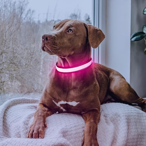 Flashseen LED Dog Collar, Light Up Dog Collar USB Rechargeable - color: Pink, size: Medium