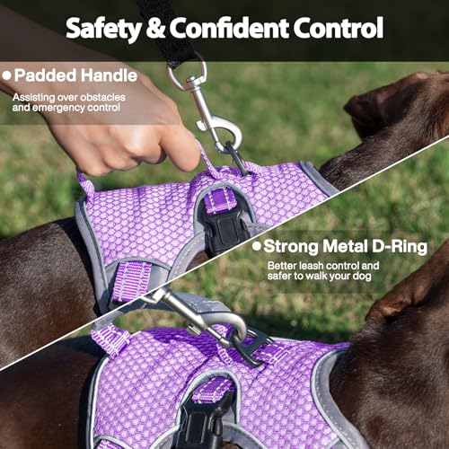 Huntboo Escape Proof Dog Harness, Dachshund Harness, Reflective Dog Harness with Handle, Durable,Adjustable Vest for Small Medium Large Dogs Walking, Training, and Running Gear (Lavender Purple,M) - color: Lavender Purple, size: Medium(Pack of 1)